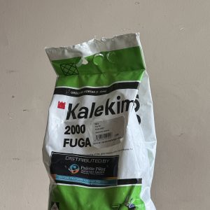 Kalekim FUGA 2000 Grout